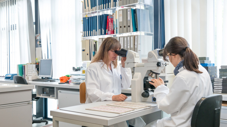 11 SNF research grants for over 3 million